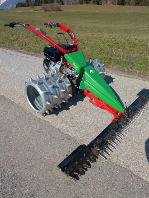 Rapid Swiss