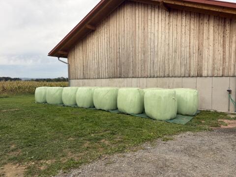 Silageballen 80 €