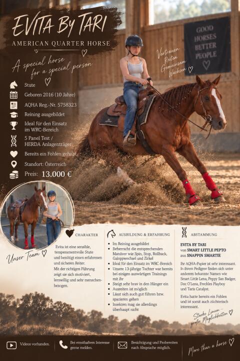 Quarter Horse Stute