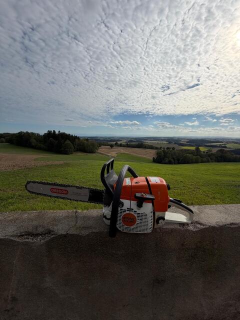 Stihl MS 361
