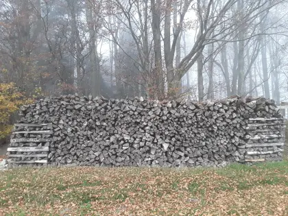 Brennholz Buche