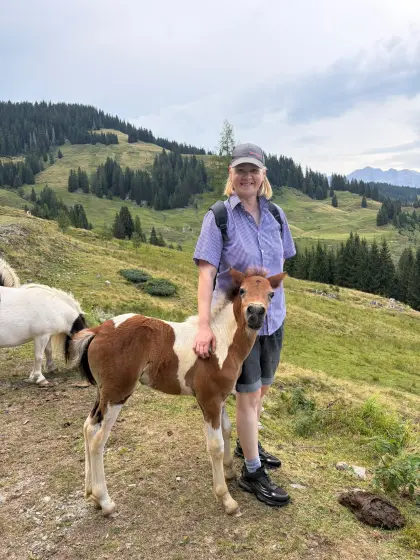 Traumhaftes Reitponyfohlen sucht einen neuen Platz