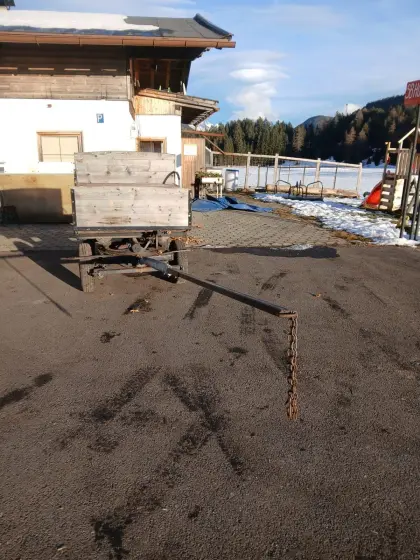 Pferdekutsche gebremst