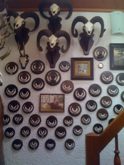 Trohäensammlung