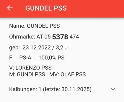 Pustertaler Sprinzen Kuh PSS