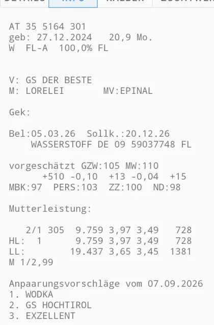 Fleckvieh-Zuchtkalbinnen, geweidet
