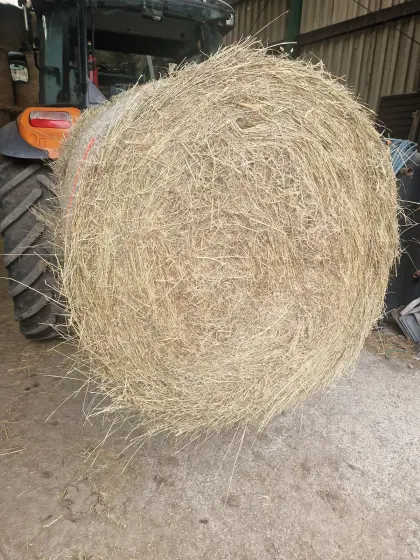 Heu-Rundballen Pferdeheu