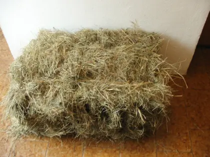 Heu-Kleinballen