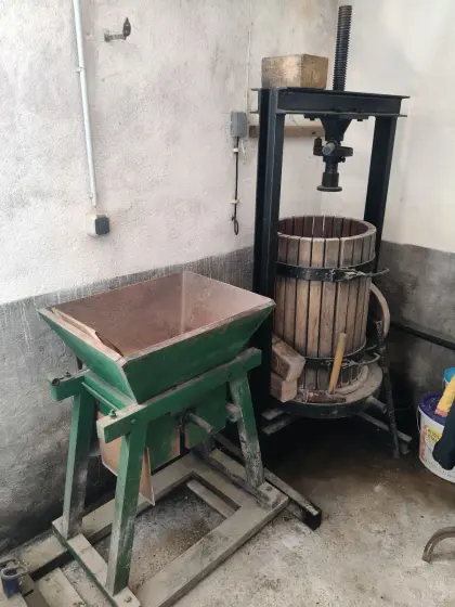 Obstpresse