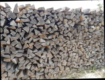 Brennholz hart