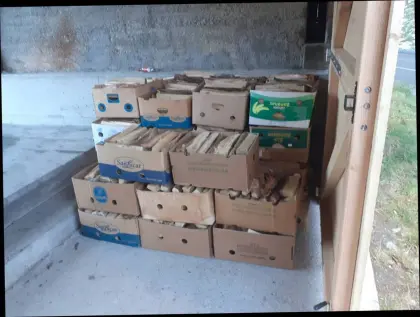Ofenfertiges Brennholz in Bananenschachteln