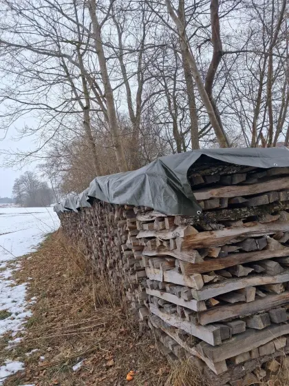 Brennholz