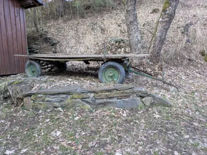 Rungenwagen