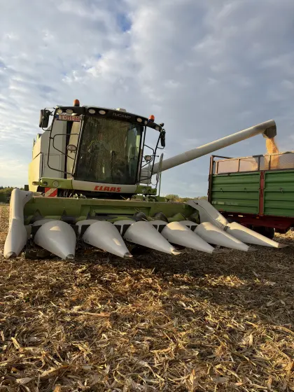 Claas Conspeed 6-75 C Maispflücker