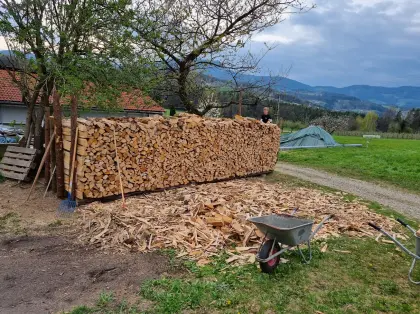 Brennholz (Laubbaum-Mix, Buche, Eiche, Esche)