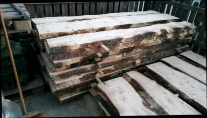 Zirbenholz