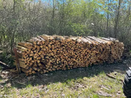 Brennholz