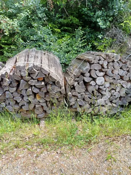 Brennholz