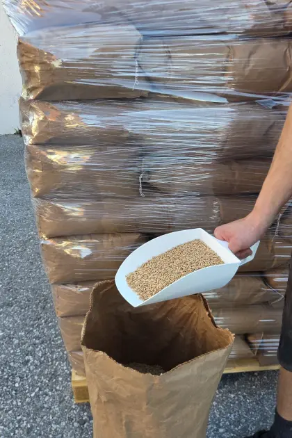 Dinkel entspelzt und gereinigt