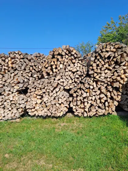 Buchenholz