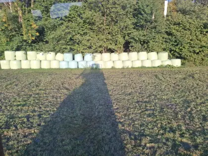 Silageballen