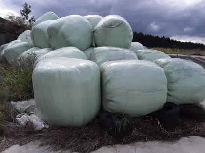Siloballen zu verkaufen