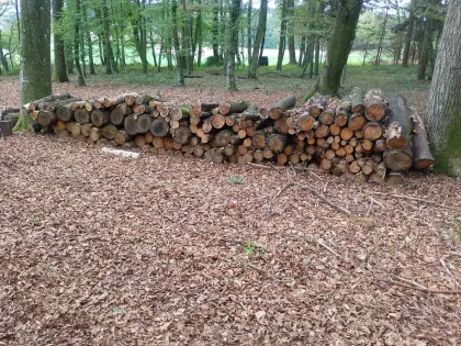 Brennholz, ofenfertig, weich und hart
