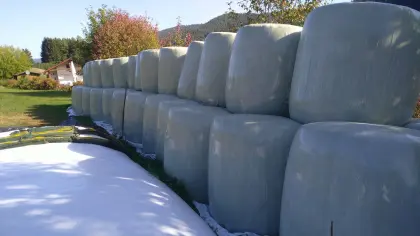 Maissiloballen