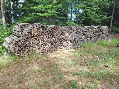 Brennholz