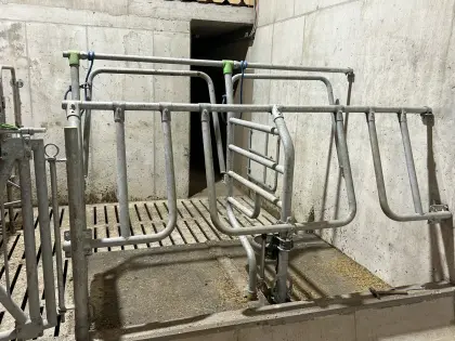 Fressliegeboxen