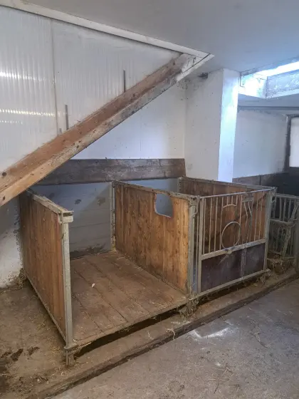 Kälberbox