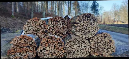 Brennholz