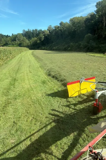 25 Grassilage- bzw. Kleegrassilageballen