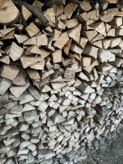 Brennholz Buche 1 m