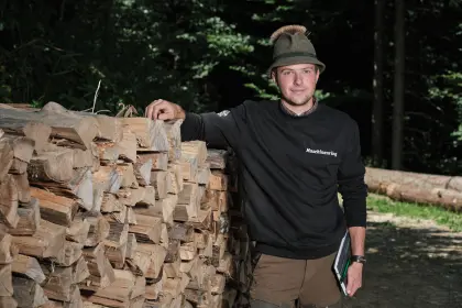 Holzvermittler (m, w, d)