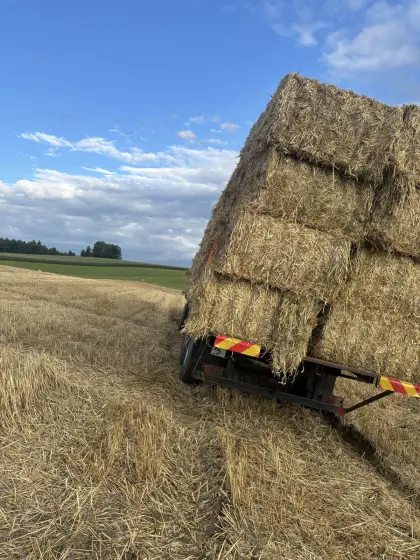 Stroh in Großpacken