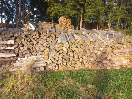 Brennholz