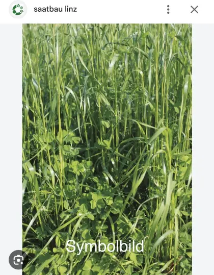 Landsberger Gemenge ab Feld 8,4 ha