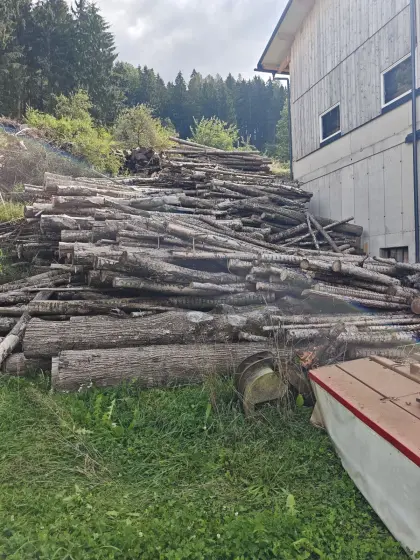 Brennholz Blochholz