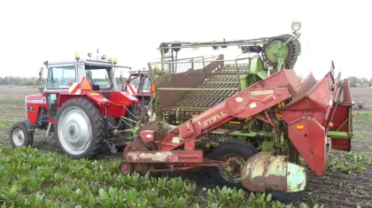 Rübenvollernter Stoll V35