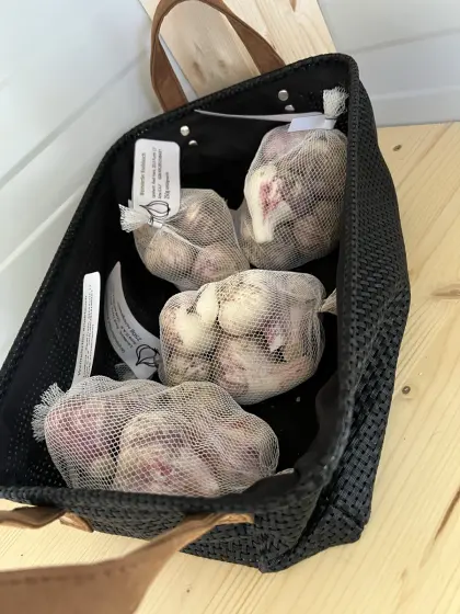 Weinviertler Knoblauch