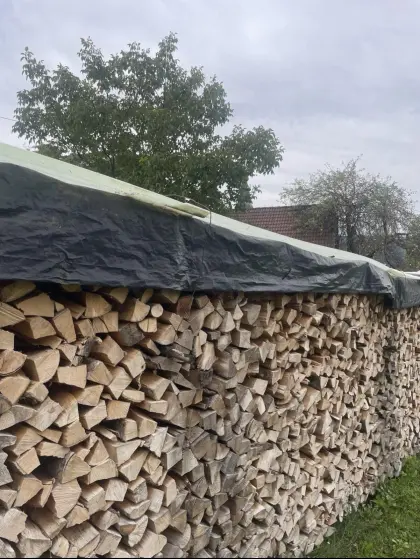 Brennholz Buche