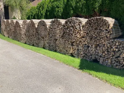 Brennholz Buche