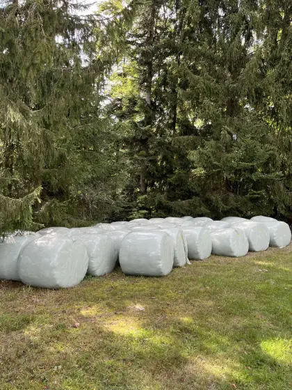 Bio-Silageballen 2026