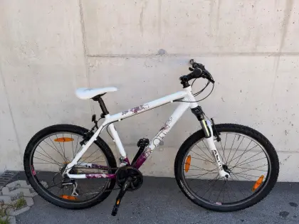 Fahrrad Scott