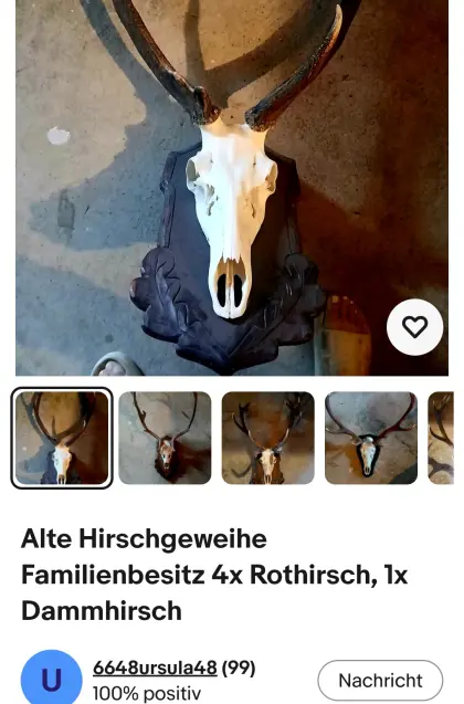Hirschtrophäen aus Familienbesitz