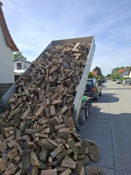 Brennholz Hartholz Esche, Eiche