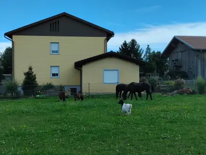 Wohnung im Obergeschoss in Andorf zu vermieten