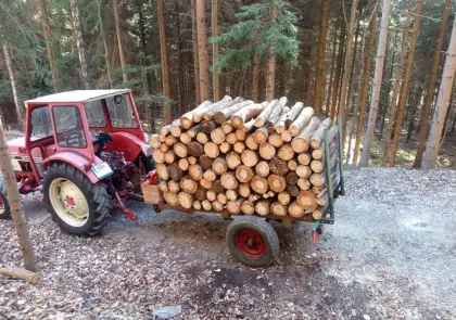 Holzanhänger Anhänger