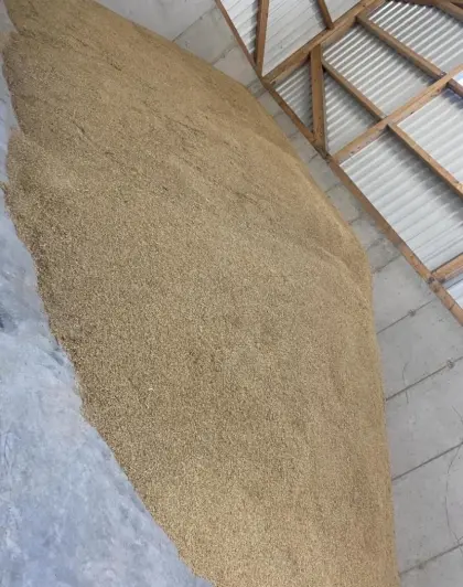 Futtergerste zu verkaufen, gute Qualität